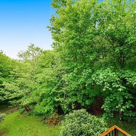 Misty Woods 03 Apartment Sugar Mountain Exterior photo
